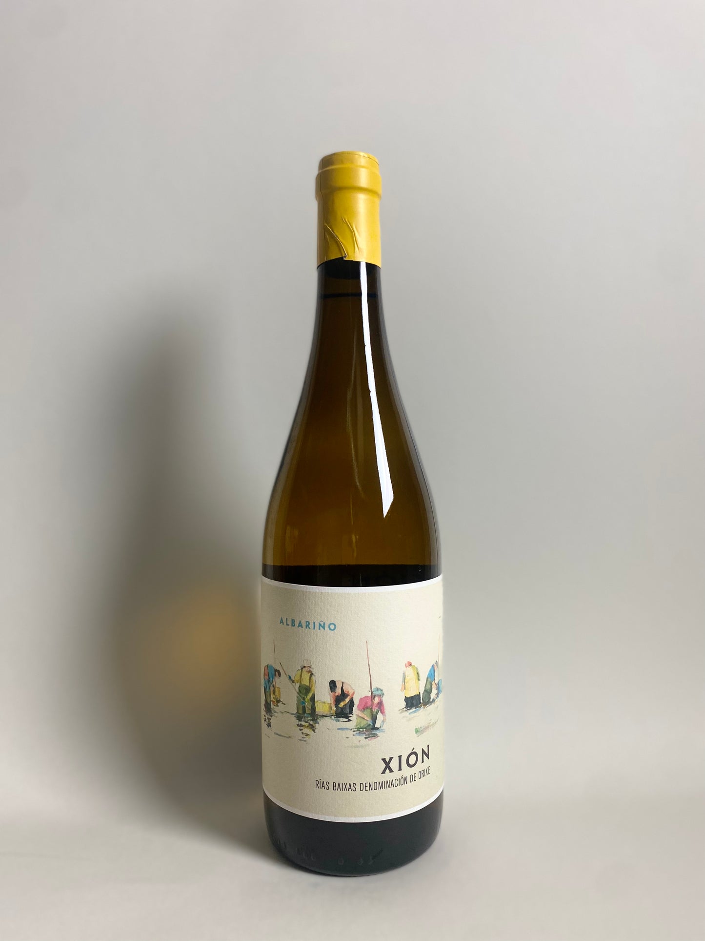 Bodega Attis ' Xion 2024 '