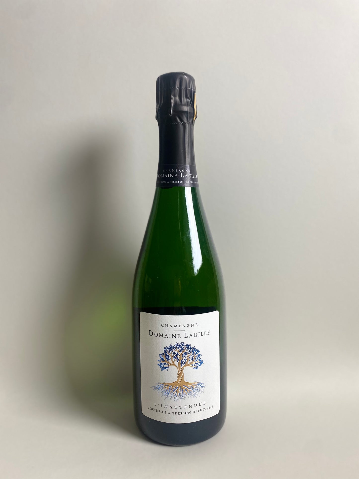 Domaine Lagille ' L’Inattendue brut '