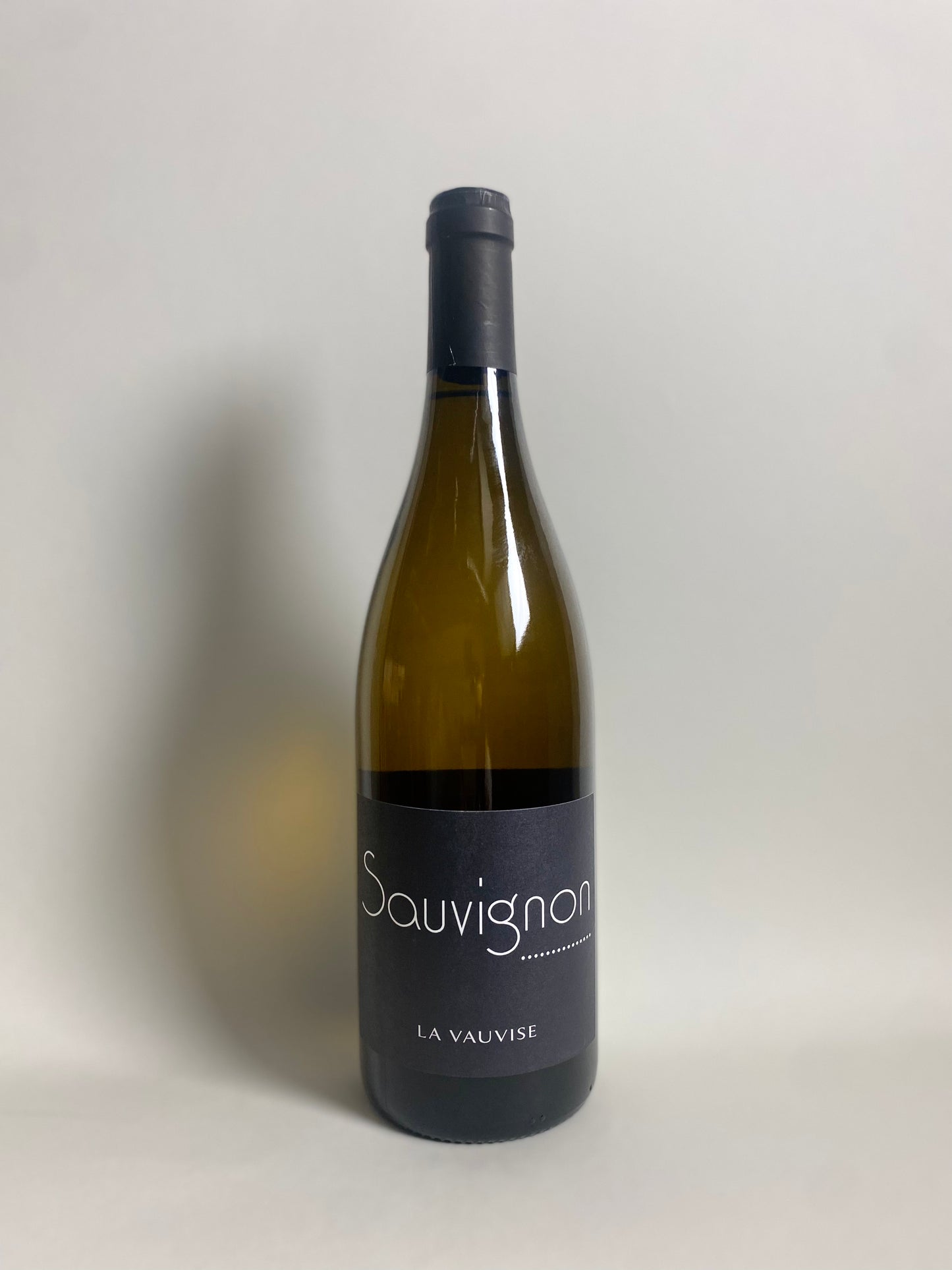 Domaine Bernard Fleuriet & Fils ' Vin de France Sauvignon Vauvise 2024 '