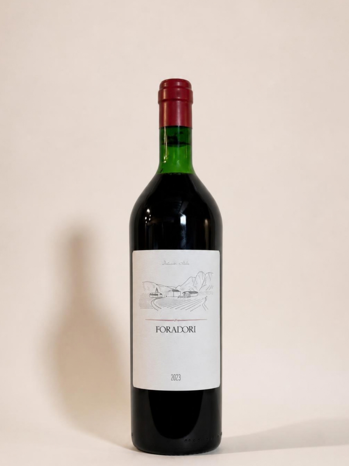 Foradori ' Dolomiti Rosso Teroldego 2023 '