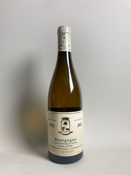 Maison Ambroise ' Bourgogne Blanc 2022 '