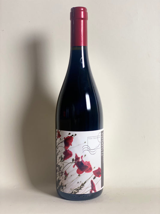 Moretti Omero ' Umbria Rosso Ciliegolo 'Terre di Giano' 2024 '