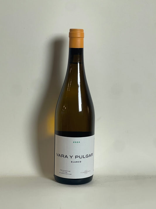 Alberto Orte ' Vara y Pulgar Blanco 2024 '